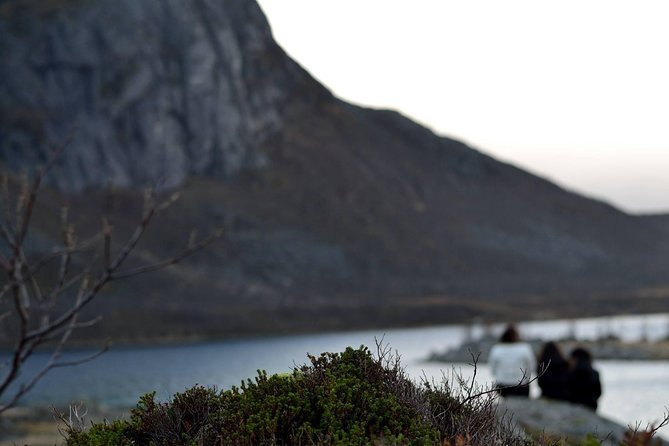Fjord Expedition: Arctic Adventure Awaits - Food and Photo Breaks: Snacks, Coffee, and the Outdoor Plan