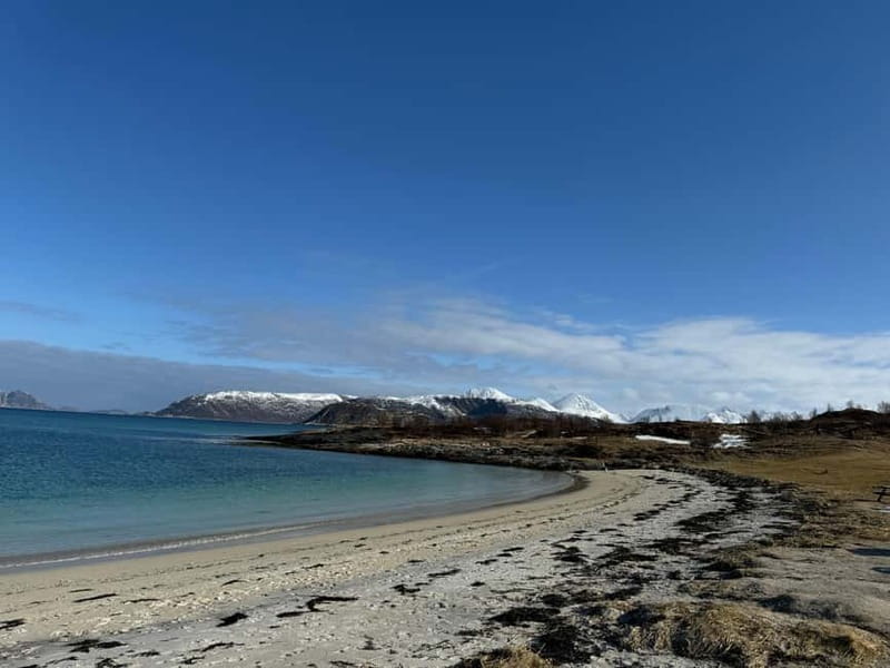 Fjord Foto Tour to Sommaroy (Roadtrip) - What you pay, and what makes $159 per person feel fair
