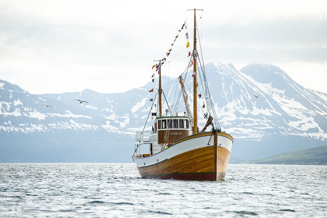 Fjord & History Cruise - The route: 2.5 hours of Tromsø by sea, city first then islands