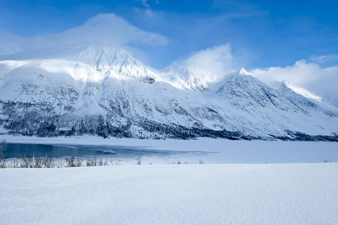 Fjord, Mountain and Wildlife Tour - Tromso in one smooth loop, fjords, mountains, and wildlife