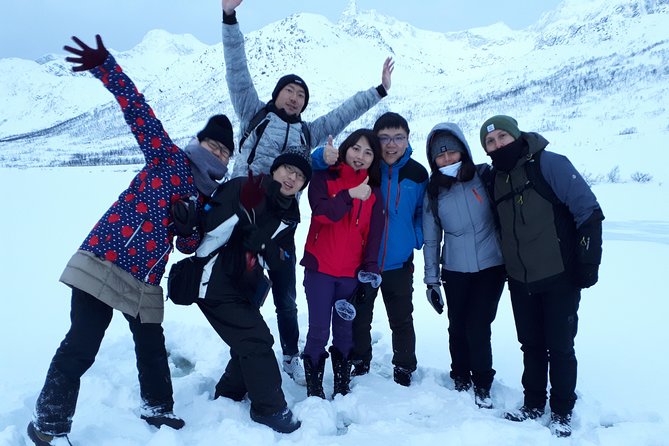 Fjord, Mountain and Wildlife Tour - Reindeer spotting, plus other Arctic surprises when conditions line up