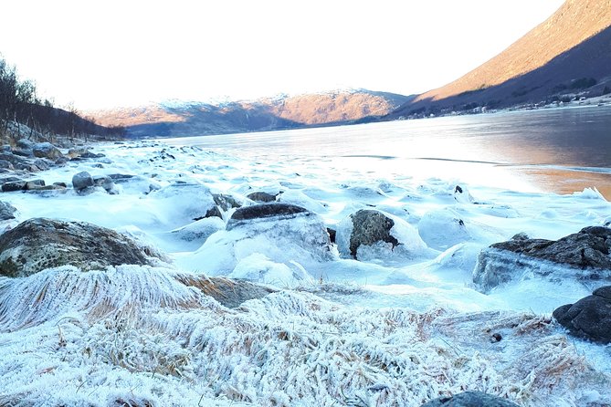 Fjord, Mountain and Wildlife Tour - Thermal suites, hot drinks, and footwear tips for icy ground