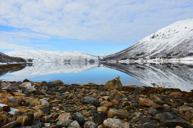 Fjord, Mountain and Wildlife Tour - Weather can change fast, and the tour changes with it