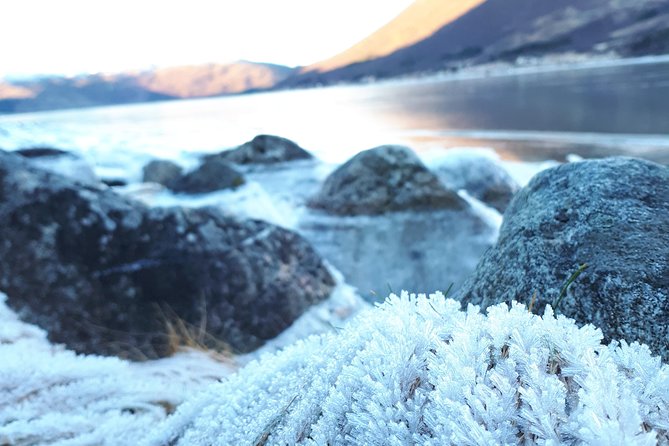 Fjord, Mountain and Wildlife Tour - Is the small group worth it, and who this tour suits best