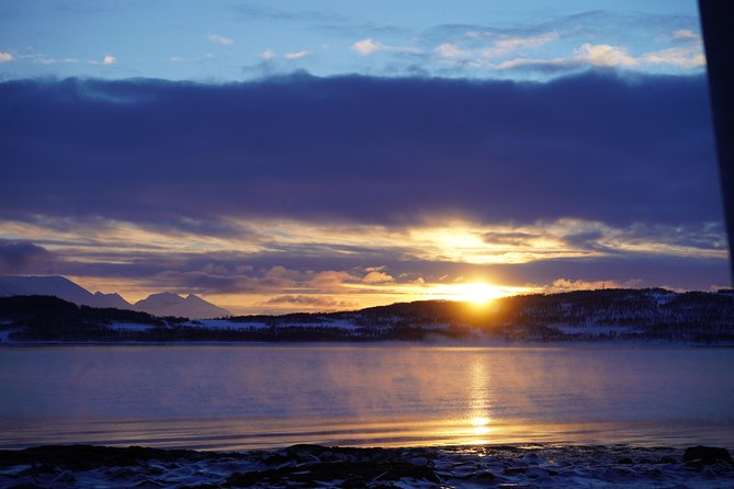 Fjord, Mountain and Wildlife Tour - Should you book this Fjord, Mountain and Wildlife Tour in Tromso?