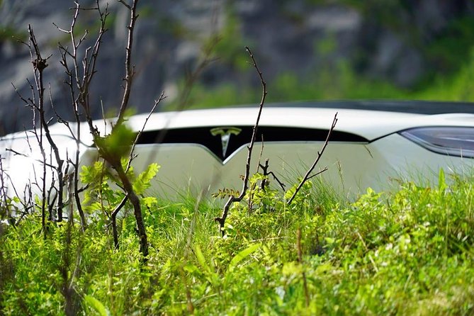 Fjord Sightseeing - Eco friendly Tesla Model X - A Tesla Model X Makes Tromso Sightseeing Feel Effortless