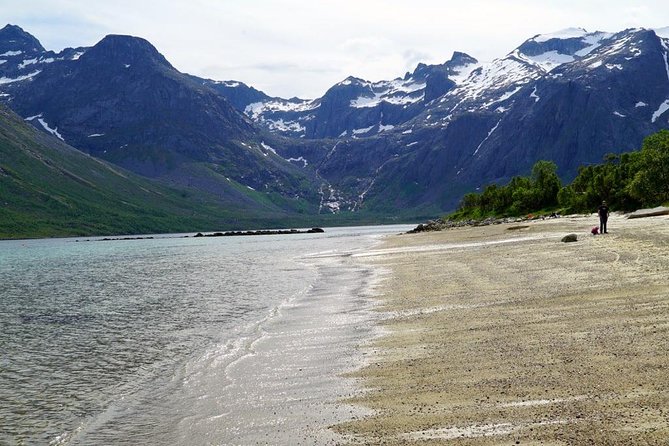 Fjord Sightseeing - Eco friendly Tesla Model X - The Coffee and Cake Break: Small Stop, Big Morale