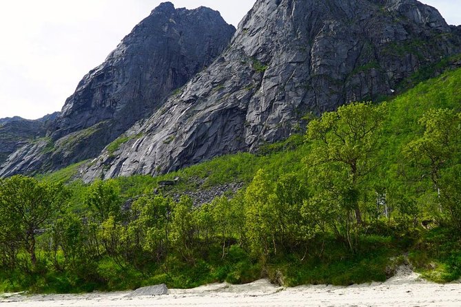 Fjord Sightseeing - Eco friendly Tesla Model X - What to Know Before You Go