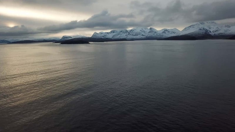 From Tromsø: All-Inclusive Whale & Orca Safari - Skjervøy whale watching: orcas, humpbacks, and bird spotting on purpose