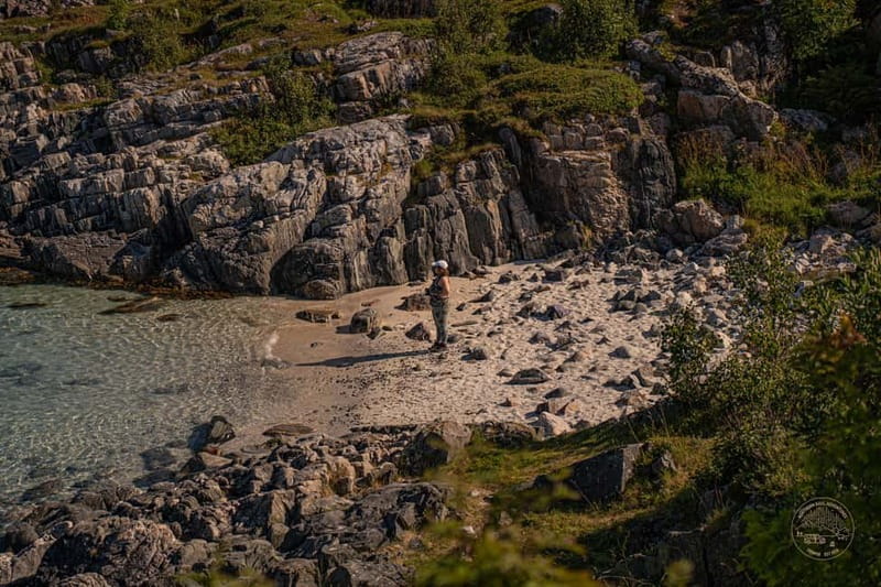 From Tromsø: Arctic Roadtrip: fjords tour with scenic picnic - Key highlights that matter in real life