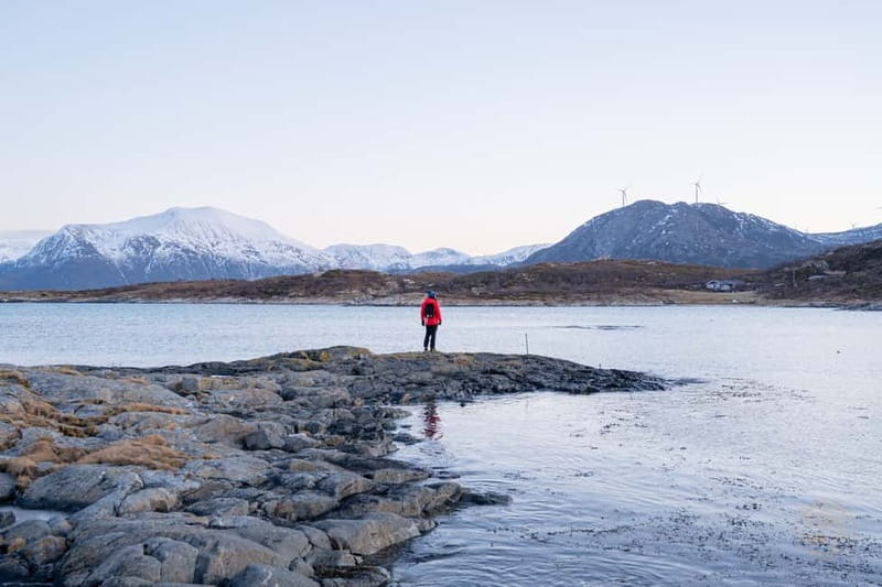 From Tromsø: Arctic Roadtrip: fjords tour with scenic picnic - Grøtfjord and Laksvatn fjords, when you want the day to work anyway