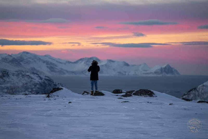 From Tromsø: Arctic Roadtrip: fjords tour with scenic picnic - Who this tour is best for (and who should skip it)