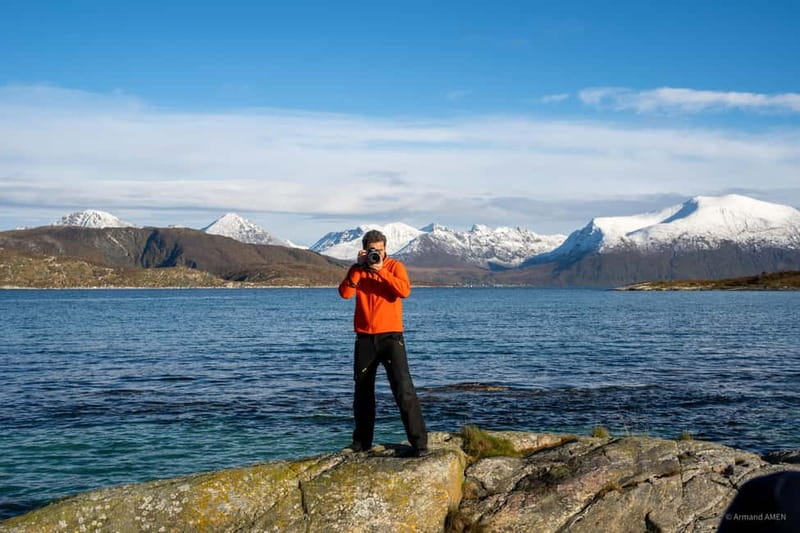 From Tromsø: Arctic Roadtrip: fjords tour with scenic picnic - Food, warm drinks, cookies, and the vegan sandwich
