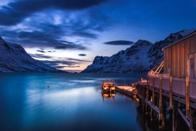 Arctic Wildlife & Fjord Sightseeing Tour by Car