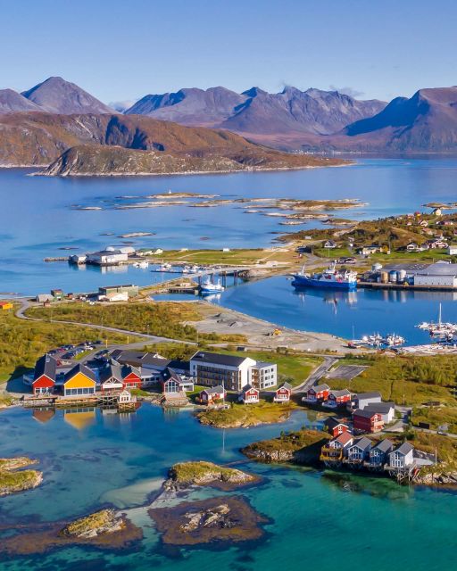 From Tromsø: Arctic Wildlife & Fjord Sightseeing Tour by Car - Sommarøy: a fishing village, serious bird life, and the feeling of space
