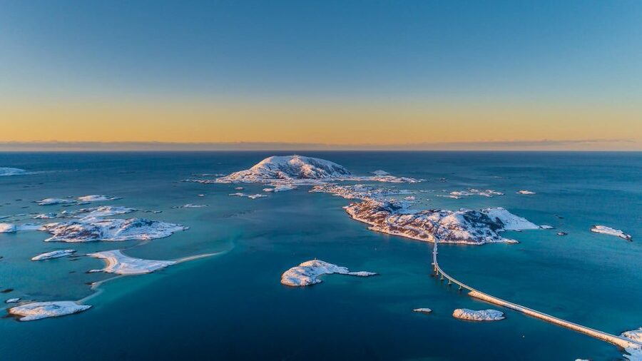 From Tromsø: Arctic Wildlife & Fjord Sightseeing Tour by Car - Wildlife odds: reindeer, moose, arctic fox, whales, and the bird list