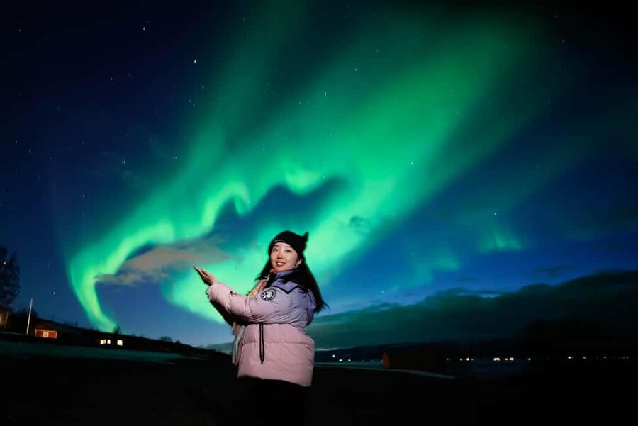 From Tromsø: Aurora Borealis Tour - The hunt strategy: forecasts, live decisions, and flexible stops