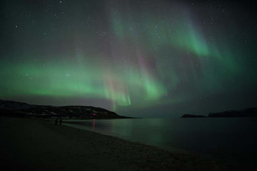 From Tromsø: Aurora Bus Tour with Snacks, Photos, and Drinks - Price and Value: What You’re Really Paying For