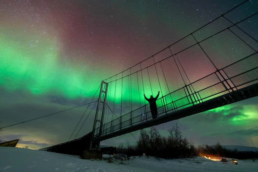 From Tromsø: Aurora Minibus Chase with Portrait and Hot Meal - Key things to know before you go