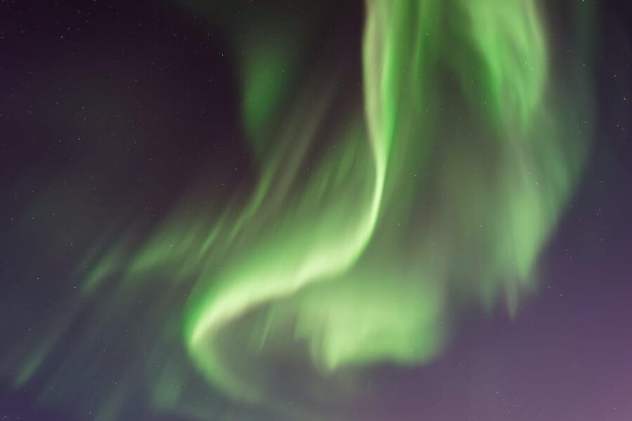 From Tromsø: Aurora Snowshoe Hike - Price and Value for $183: When This Tour Makes Sense