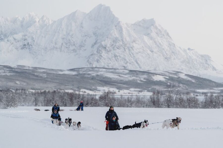 From Tromsø: Fun and Easy Dog Sledding Adventure - Price and value: is $282 per person worth it?