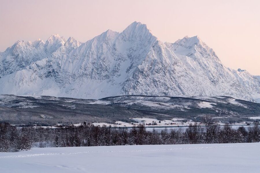 From Tromsø: Fun and Easy Dog Sledding Adventure - Practical tips to make your day smoother and warmer