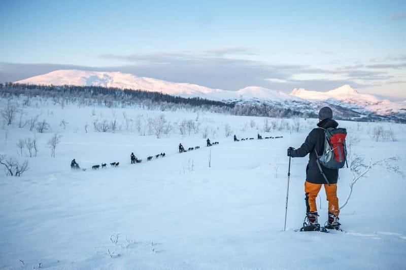 From Tromsø: Guided Husky Snowshoe Hike and Husky Camp Visit - Getting to the start point: Radisson Blu, then full winter kit