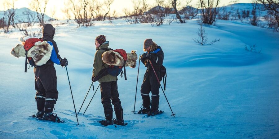From Tromsø: Guided Husky Snowshoe Hike and Husky Camp Visit - Camp visit on the Arctic edge: meeting 200 huskies and puppies