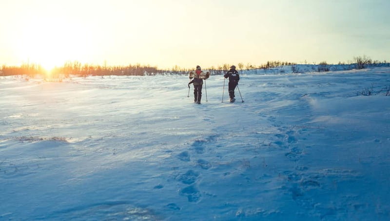From Tromsø: Guided Husky Snowshoe Hike and Husky Camp Visit - Getting good guidance: what the guides actually do