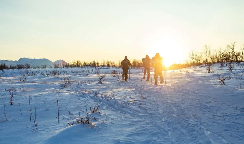 From Tromsø: Guided Husky Snowshoe Hike and Husky Camp Visit - Weather and snow reality: what happens on a rainy day