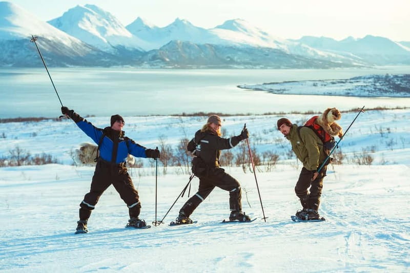 From Tromsø: Guided Husky Snowshoe Hike and Husky Camp Visit - Price and value: what $175 buys in real experience