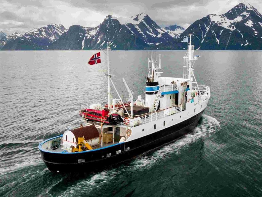 From Tromsø: Northern Lights Cruise on a Cozy Vintage Vessel - A Vintage MS Strønstad Night With an Aurora Plan, Not Guesswork