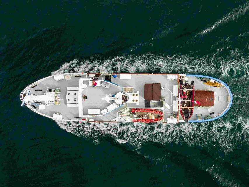 From Tromsø: Northern Lights Cruise on a Cozy Vintage Vessel - The 4-Hour Cruise: Cozy Indoor Watching and Outdoor Time