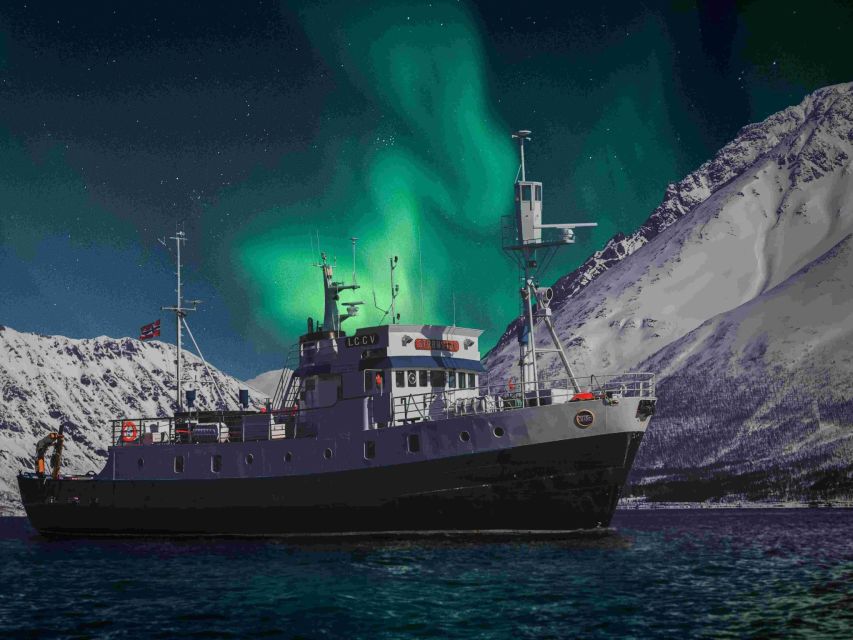 From Tromsø: Northern Lights Cruise on a Cozy Vintage Vessel - Meeting at Full Steam Tromsø: Start With the 19:00 Northern Lights Presentation