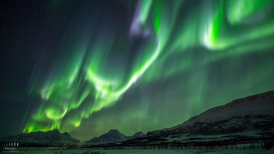 From Tromsø: Northern Lights Tour - Why chasing the Aurora from Tromsø feels more intentional