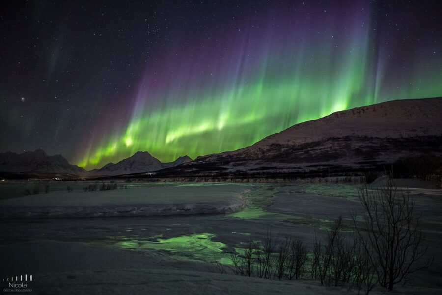From Tromsø: Northern Lights Tour - Stop-by-stop: what happens during the Magic Ice Bar and Troms County portion