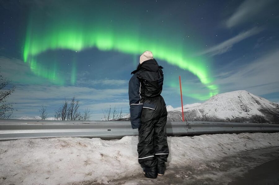 From Tromsø: Northern Lights Tour in Minibus with Photos - Why This Tromsø Northern Lights Tour Makes Sense