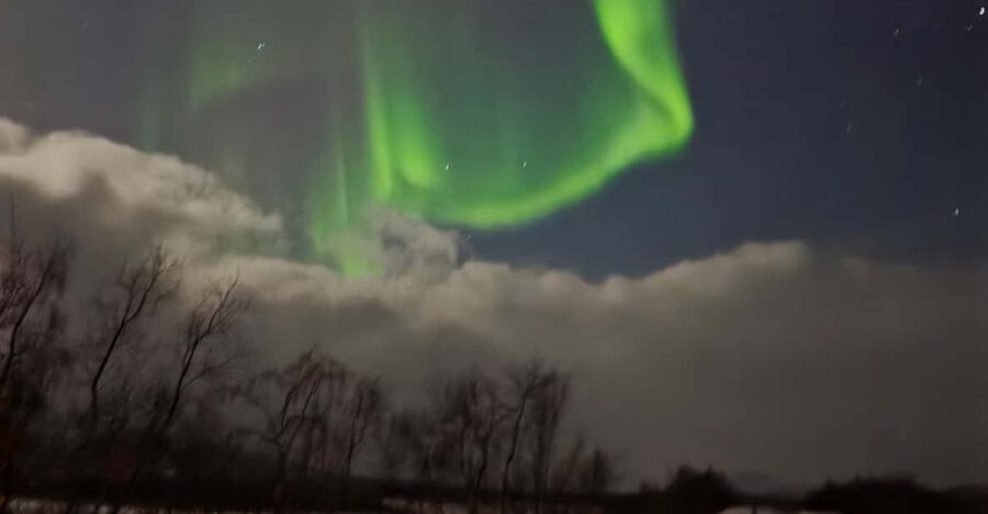 From Tromsø: Northern Lights Tour - Meeting at Magic Ice Bar Tromsø, then getting ready for the cold