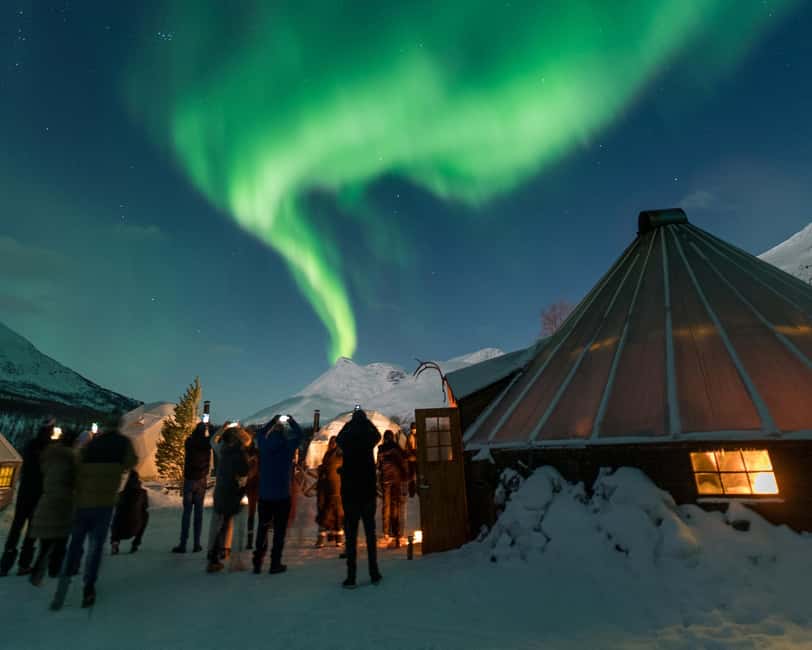 From Tromsø: Northern Lights Visit at Camp Tamok - Key things to know before you go