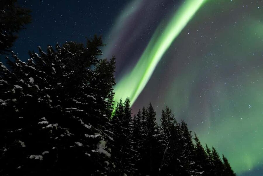 From Tromsø: Northern Lights Visit at Camp Tamok - Who this tour fits best, and who should think twice