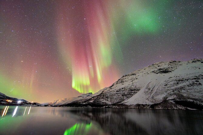 From Tromsø: OFFICIAL Northern Lights Safari by Minibus - Why This Tromsø Northern Lights Safari Feels More Purpose-Built Than Casual Viewing