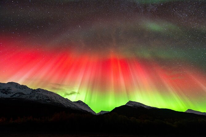 From Tromsø: OFFICIAL Northern Lights Safari by Minibus - How the Guides Stack the Odds With Multiple Spot Choices