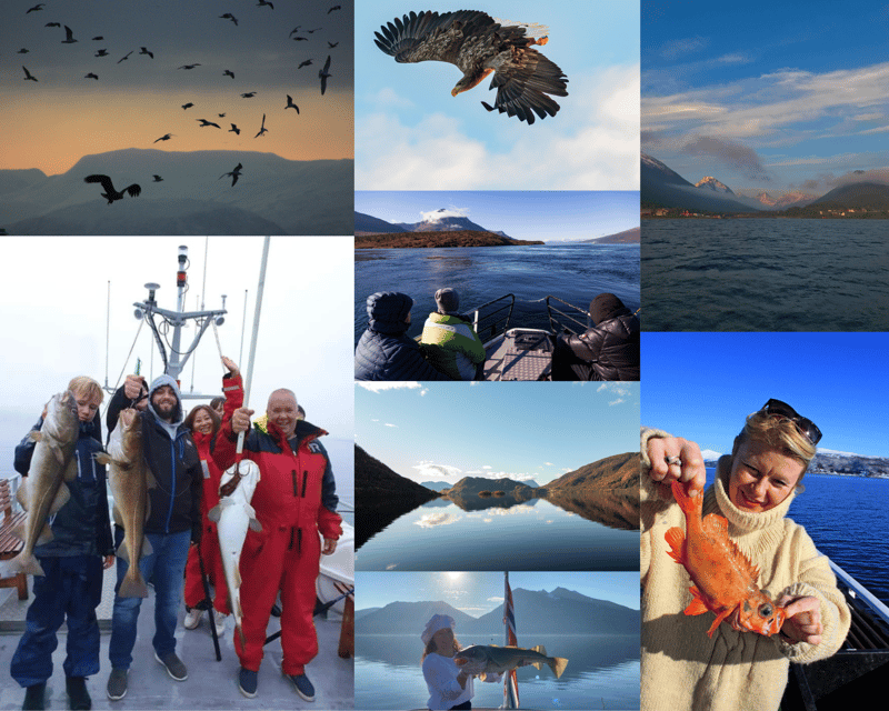 From Tromso: Polar Fishing Adventure - Your 2-hour route: Polar Adventures, Hella on Kvaløya, then Tønsvik