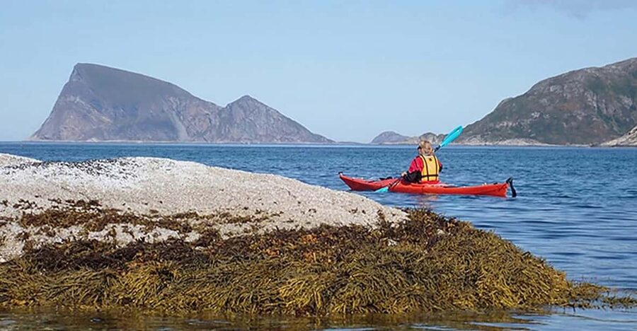 From Tromsø: Sea Kayaking Tour at Sommarøy with Transfer - Price and value: what you’re paying for in a $157 half-day