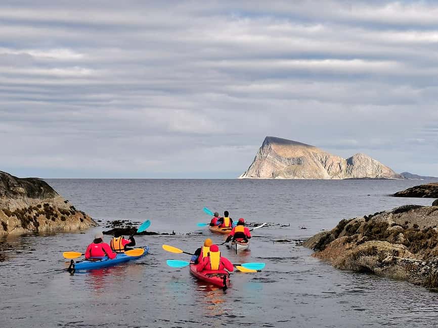 From Tromsø: Sea Kayaking Tour at Sommarøy with Transfer - Wildlife spotting that feels earned, not staged