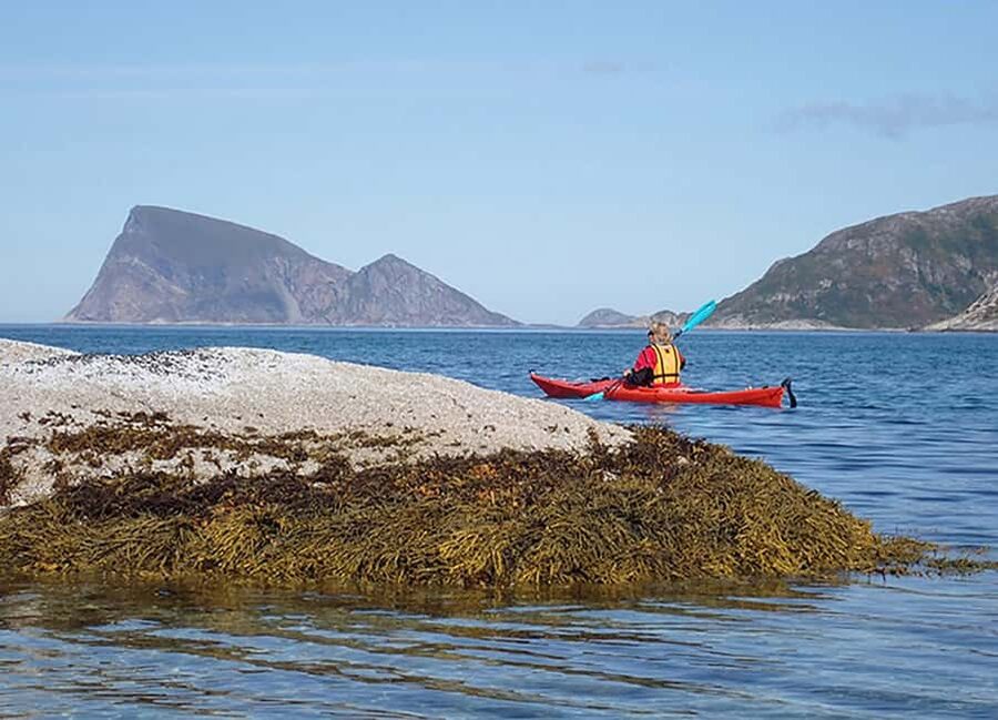 From Tromsø: Sea Kayaking Tour at Sommarøy with Transfer - The white sandy beach stop: warm drink, legs, and the tidal zone