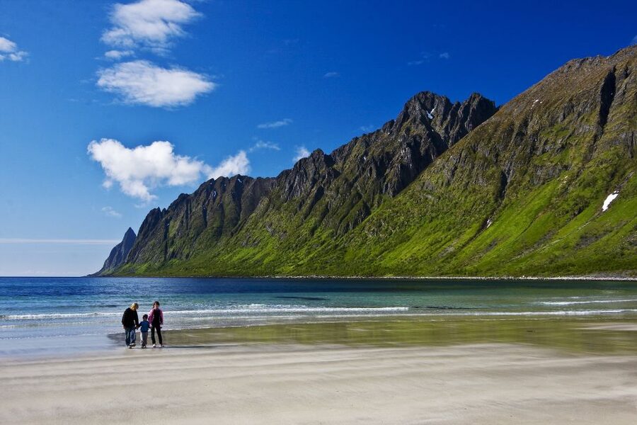 From Tromsø: Self-Guided Fjord Tour to Senja and Local Lunch - Hamn i Senja, fish soup lunch, and what you should know about the menu