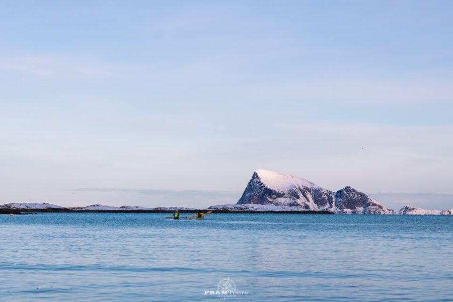 From Tromsø: Senja and Kvaløya Arctic Day Trip with Lunch - Value for 323 USD: What You Get for Your Day