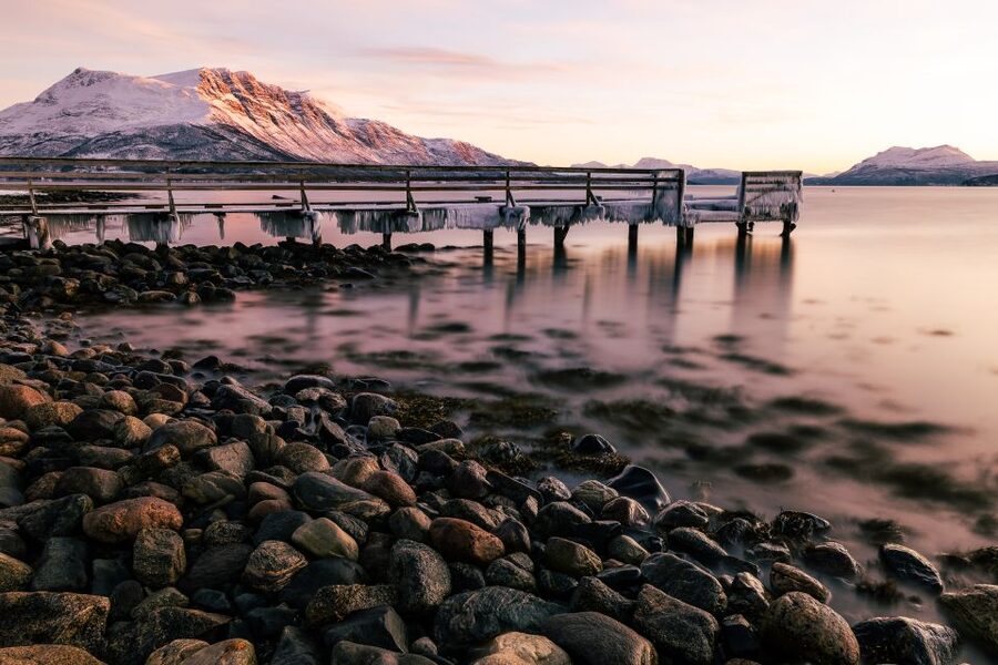 From Tromsø: Senja and Kvaløya Arctic Day Trip with Lunch - Wildlife Odds in the Barents Sea Region (And How to Spot Them)