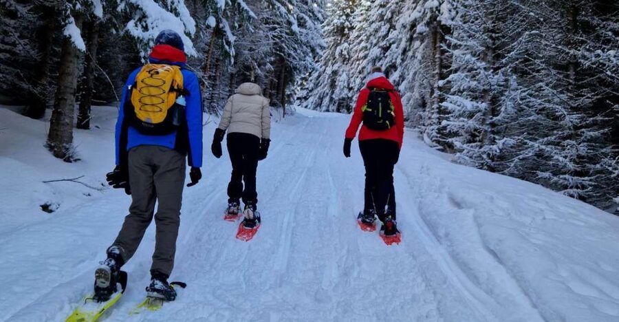 From Tromsø: Snowshoe Hike in the Arctic - How the 4-Hour Day Runs from Clarion Hotel The Edge